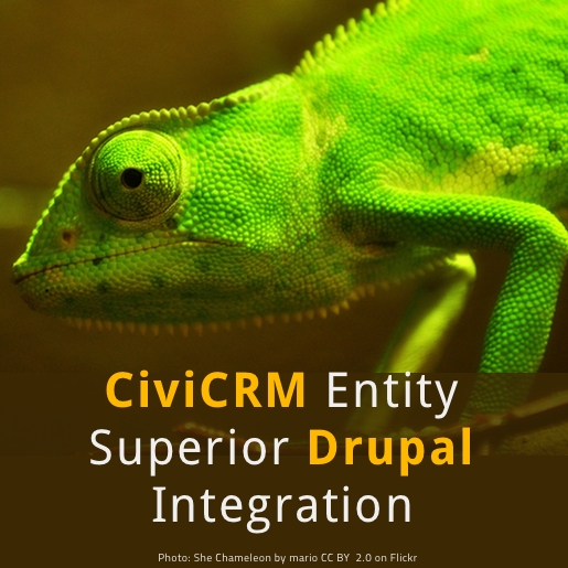 she_chameleon_by_mario